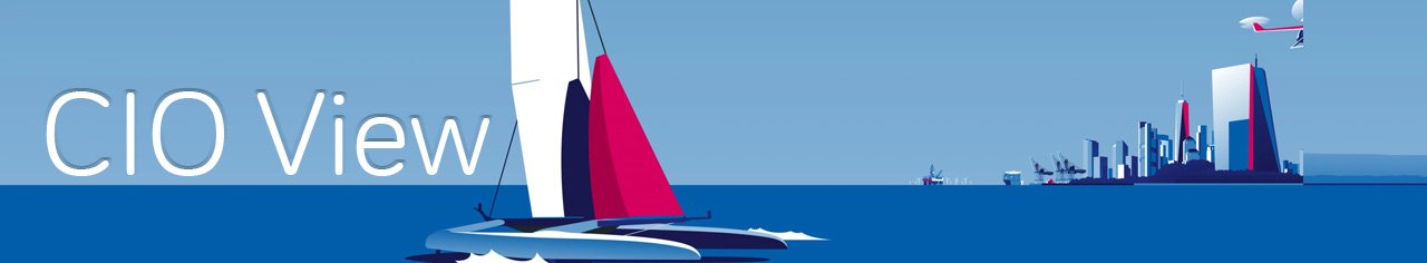 Cio view