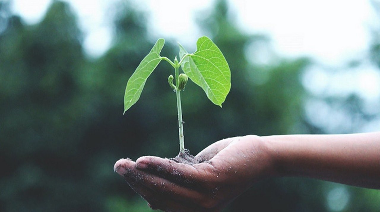 Sostenibilita-e-sicurezza-alimentare-trend-e-strategie-per-il-futuro-small.jpg