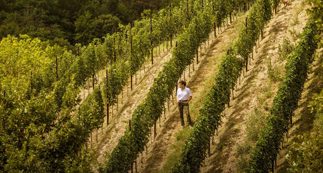 Dbmagazine-Vini-di-carattere.jpg