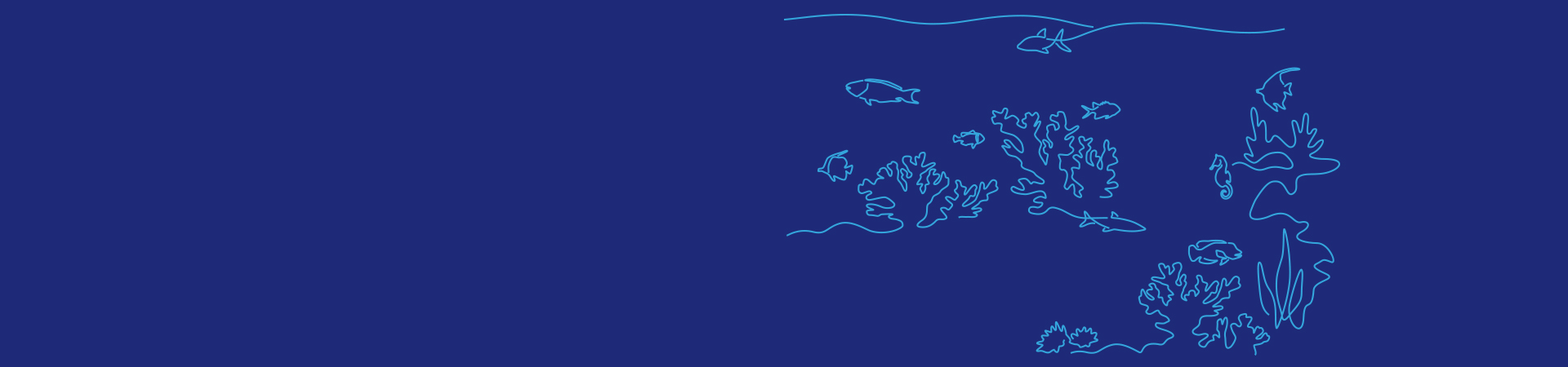 Ocean Resilience Coral Bank
