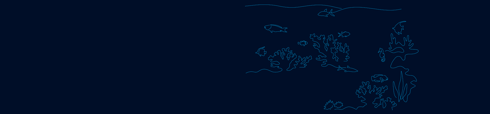 Homepage_stage_desktop_Ocean_Resilience_Coral_Bank.jpg