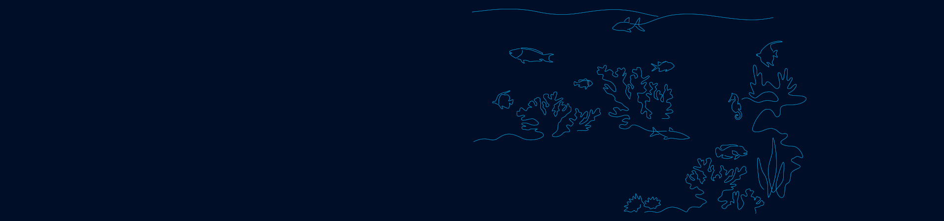 Homepage_stage_desktop_Ocean_Resilience_Coral_Bank.jpg