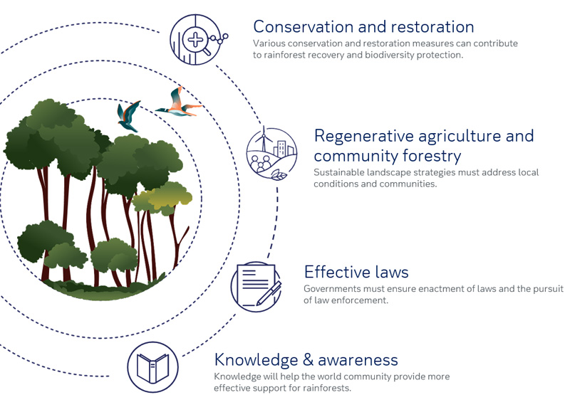 Conservation-and-restoration