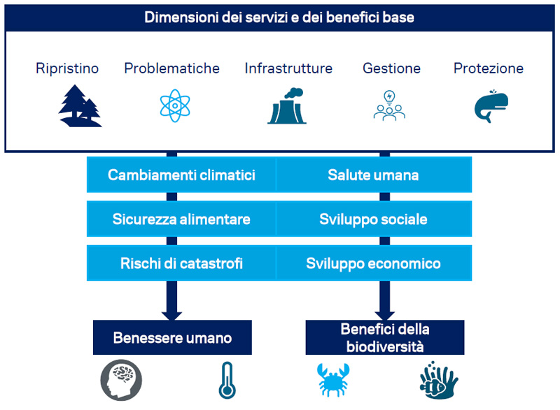 Figura-1-Come-le-NbS-impattano-sulla-nostra-vita