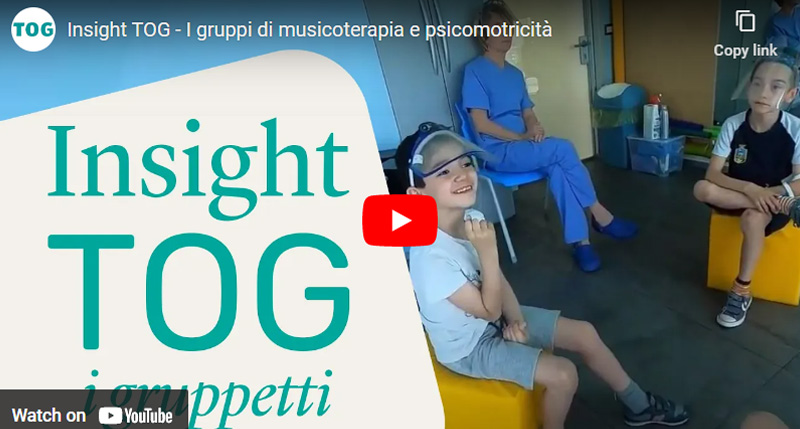 Video-insight-TOG