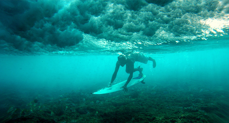 dbpremium-speciali-maldive-dic2024