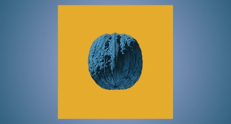 MUSICA-brunori-marzo2025