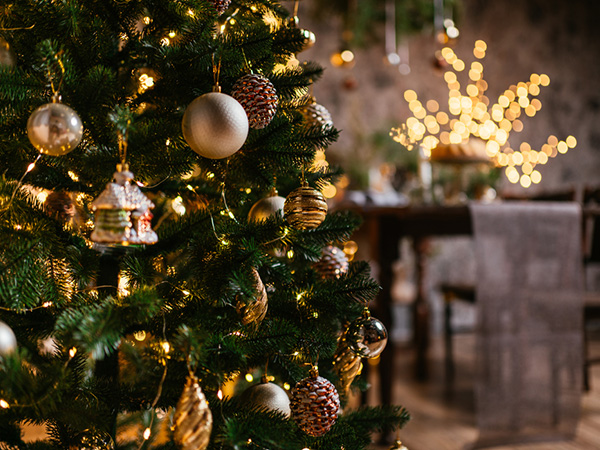 dbPremium-Magazine-Natale