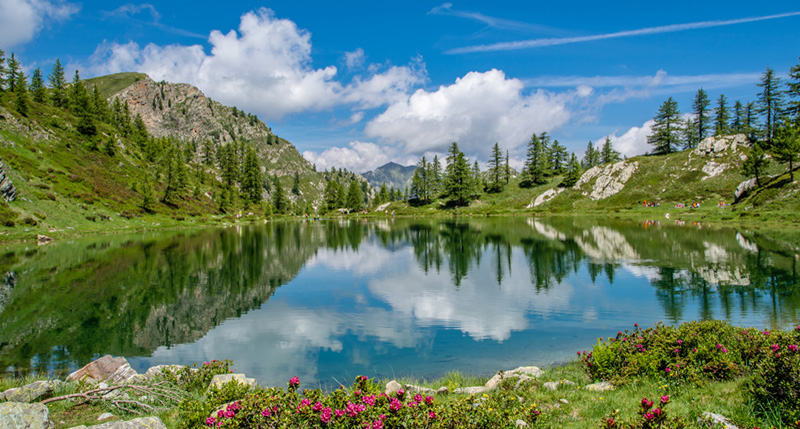 dbpremium-magazine-piemonte